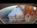 Webcam Irena Arctica