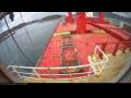 Webcam Irena Arctica
