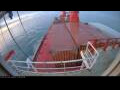 Webcam Irena Arctica