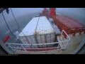 Webcam Irena Arctica