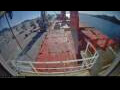 Webcam Irena Arctica
