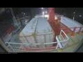 Webcam Irena Arctica