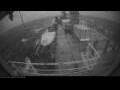 Webcam Irena Arctica