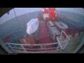 Webcam Irena Arctica