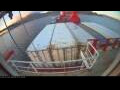 Webcam Irena Arctica