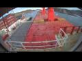 Webcam Irena Arctica