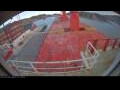 Webcam Irena Arctica