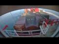 Webcam Irena Arctica