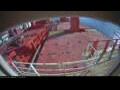 Webcam Irena Arctica