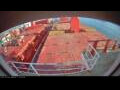 Webcam Irena Arctica