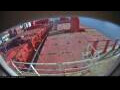 Webcam Irena Arctica