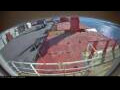 Webcam Irena Arctica
