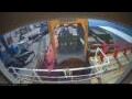 Webcam Irena Arctica