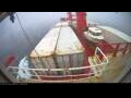 Webcam Irena Arctica