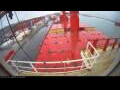 Webcam Irena Arctica