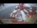 Webcam Irena Arctica
