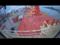 Webcam Irena Arctica
