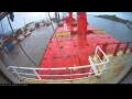 Webcam Irena Arctica
