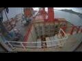 Webcam Irena Arctica