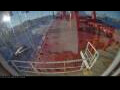 Webcam Irena Arctica