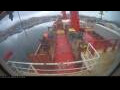 Webcam Irena Arctica