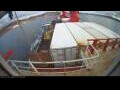Webcam Irena Arctica