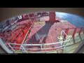 Webcam Irena Arctica
