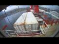 Webcam Irena Arctica