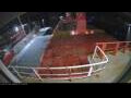 Webcam Irena Arctica