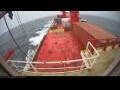 Webcam Irena Arctica