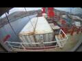 Webcam Irena Arctica