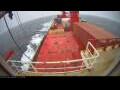 Webcam Irena Arctica