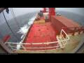 Webcam Irena Arctica