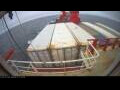 Webcam Irena Arctica