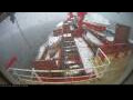 Webcam Irena Arctica
