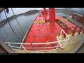 Webcam Irena Arctica