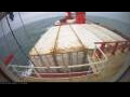 Webcam Irena Arctica