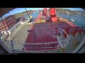 Webcam Irena Arctica