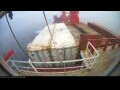Webcam Irena Arctica