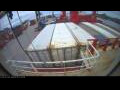 Webcam Irena Arctica