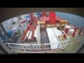 Webcam Irena Arctica