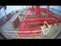 Webcam Irena Arctica