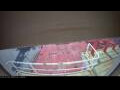 Webcam Irena Arctica