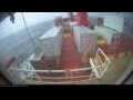 Webcam Irena Arctica