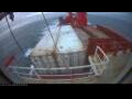 Webcam Irena Arctica