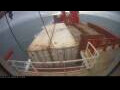 Webcam Irena Arctica