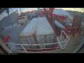 Webcam Irena Arctica