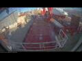 Webcam Irena Arctica