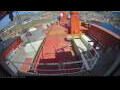 Webcam Irena Arctica