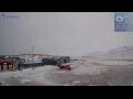 Webcam Ilulissat